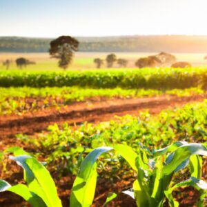 Como calcular o custo de produção agrícola