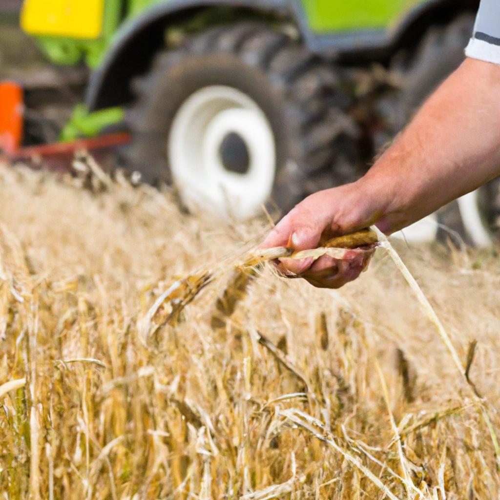 A eficiência no campo: vantagens da mecanização agrícola