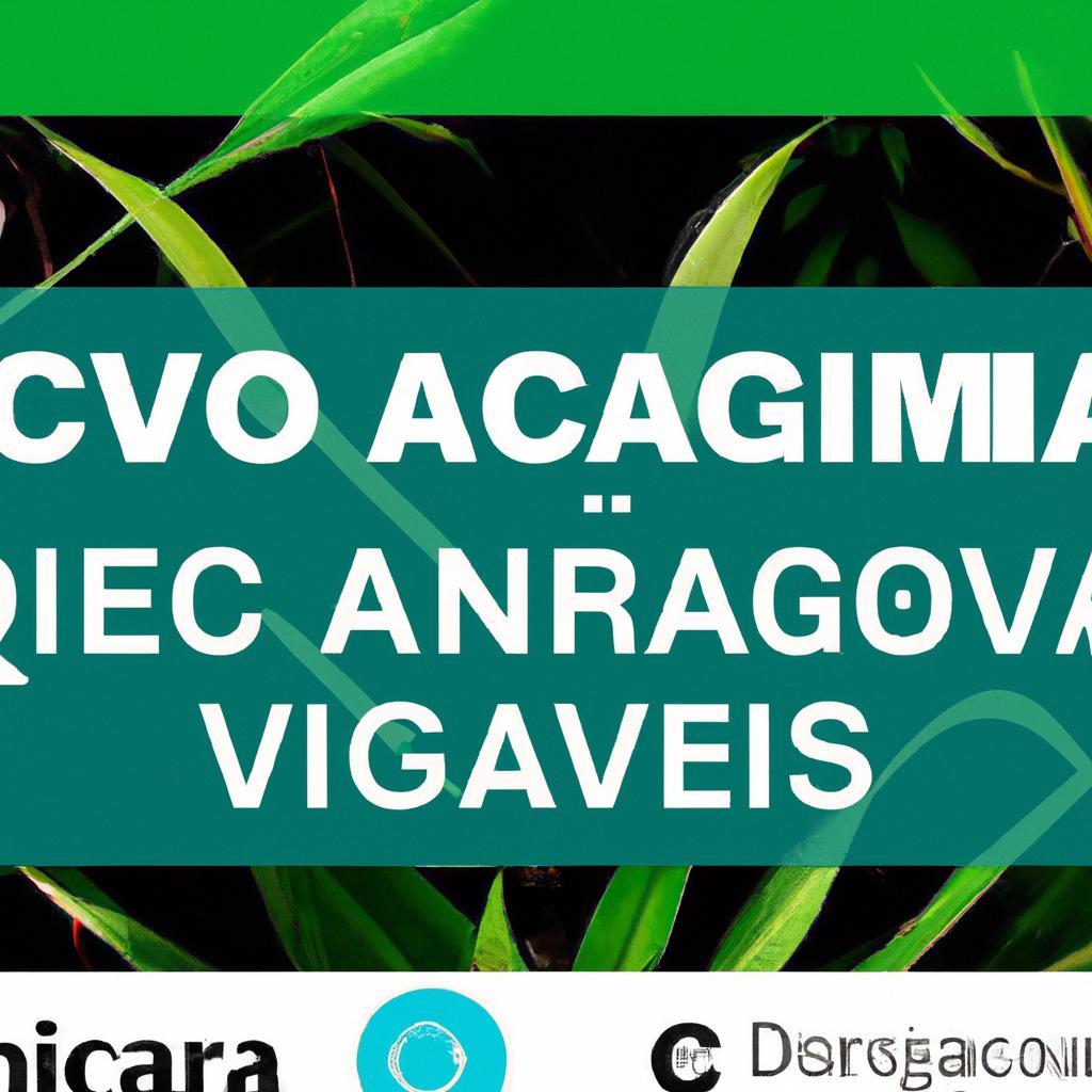 Dicas para Aprovação na Certificação Orgânica