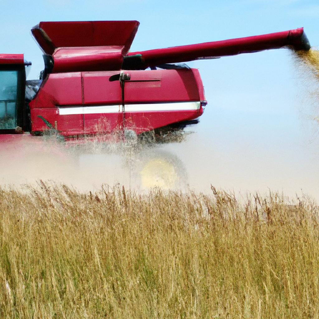 Mais do que máquinas: a importância da capacitação para o sucesso agrícola